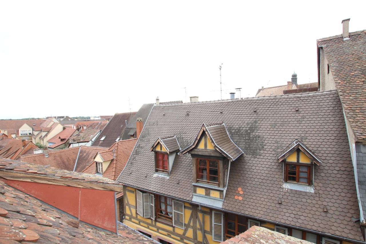 Colmar City Center - Appartement Petit Ours - Bookingalsace Dış mekan fotoğraf