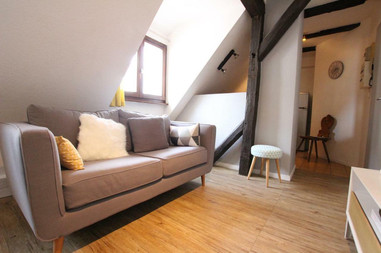 Colmar City Center - Appartement Petit Ours - Bookingalsace Dış mekan fotoğraf